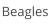 Beagles