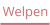 Welpen