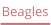 Beagles