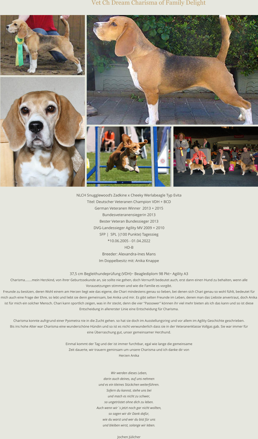Vet Ch Dream Charisma of Family Delight  NLCH Snugglewood’s Zadkine x Cheeky Werlabeagle Typ Evita Titel: Deutscher Veteranen Champion VDH + BCD German Veteranen Winner  2013 + 2015 Bundesveteranensiegerin 2013 Bester Veteran Bundessieger 2013 DVG-Landessieger Agility MV 2009 + 2010 SFP |  SPL |(100 Punkte) Tagessieg *10.06.2005 - 01.04.2022 HD-B Breeder: Alexandra-Ines MansIm Doppelbesitz mit: Anika Knappe  37,5 cm Begleithundeprüfung (VDH)~ Beaglediplom 98 Pkt~ Agility A3 Charisma........mein Herzkind, von ihrer Geburtssekunde an, sie sollte nie gehen, doch Vernunft bedeutet auch, erst dann einen Hund zu behalten, wenn alle  Vorausetzungen stimmen und wie die Familie es vorgibt. Freunde zu besitzen, deren Wohl einem am Herzen liegt wie das eigene, die Chari mindestens genau so lieben, bei denen sich Chari genau so wohl fühlt, bedeutet für  mich auch eine Frage der Ehre, so lebt und liebt sie denn gemeinsam, bei Anika und mir. Es gibt selten Freunde im Leben, denen man das Liebste anvertraut, doch Anika  ist für mich ein solcher Mensch. Chari kann sportlich zeigen, was in ihr steckt, denn die vier "Passower" können ihr viel mehr bieten als ich das kann und so ist diese  Entscheidung in allererster Linie eine Entscheidung für Charisma.  Charisma konnte aufrgrund einer Pyometra nie in die Zucht gehen. so hat sie doch im Ausstellungsring und vor allem im Agility Geschichte geschrieben.  Bis ins hohe Alter war Charisma eine wunderschöne Hündin und so ist es nicht verwunderlich dass sie in der Veteranenklasse Vollgas gab. Sie war immer für  eine Überraschung gut, unser gemeinsamer Herzhund.  Einmal kommt der Tag und der ist immer furchtbar, egal wie lange die gemeinsame  Zeit dauerte, wir trauern geminsam um unsere Charisma und ich danke dir von  Herzen Anika   Wir werden dieses Leben, darin auch deines, auf uns nehmen und es ein kleines Stückchen weiterführen. Sofern du kannst, stehe uns bei und mach es nicht zu schwer, so ungetröstet ohne dich zu leben. Auch wenn wir´s jetzt noch gar nicht wollten, so sagen wir dir Dank dafür, wie du warst und wer du bist für uns und bleiben wirst, solange wir leben.  Jochen Jülicher