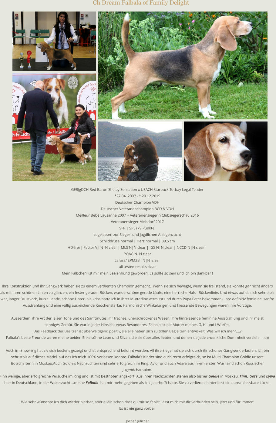 Ch Dream Falbala of Family Delight  GERJgDCH Red Baron Shelby Sensation x USACH Starbuck Torbay Legal Tender *27.04. 2007 - † 20.12.2019 Deutscher Champion VDH Deutscher Veteranenchampion BCD & VDH Meilleur Bébé Lausanne 2007 ~ Veteranensiegerin Clubsiegerschau 2016 Veteranensieger Meisdorf 2017 SFP | SPL (79 Punkte) zugelassen zur Sieger- und jagdlichen Anlagenzucht Schilddrüse normal | Herz normal | 39,5 cm HD-frei | Factor VII N|N clear | MLS N|N clear | IGS N|N clear | NCCD N|N clear |  POAG N|N clear Lafora/ EPM2B   N|N  clear -all tested results clear- Mein Falbchen, ist mir mein Seelenhund geworden. Es sollte so sein und ich bin dankbar !  Ihre Konstruktion und ihr Gangwerk haben sie zu einem verdienten Champion gemacht.  Wenn sie sich bewegte, wenn sie frei stand, sie konnte gar nicht anders  als mit ihren schönen Linien zu glänzen, ein fester gerader Rücken, wunderschöne gerade Läufe, eine herrliche Hals - Rückenlinie. Und etwas auf das ich sehr stolz  war, langer Brustkorb, kurze Lende, schöne Unterlinie, (das hatte ich in ihrer Mutterline vermisst und durch Papa Peter bekommen). Ihre definitiv feminine, sanfte  Ausstrahlung und eine völlig ausreichende Knochenstärke. Harmonische Winkelungen und fliessende Bewegungen waren ihre Vorzüge.  Ausserdem  ihre Art der leisen Töne und des Sanftmutes, ihr freches, unerschrockenes Wesen, ihre hinreissende feminine Ausstrahlung und ihr meist  sonniges Gemüt. Sie war in jeder Hinsicht etwas Besonderes. Falbala ist die Mutter meines G, H  und I Wurfes. Das Feedback der Besitzer ist überwältigend positiv, sie alle haben sich zu tollen Begleitern entwickelt. Was will ich mehr….? Falbala's beste Freunde waren meine beiden Enkelsöhne Leon und Silvan, die sie über alles liebten und denen sie jede erdenkliche Dummheit verzieh ....;o))  Auch im Showring hat sie sich bestens gezeigt und ist entsprechend belohnt worden. All ihre Siege hat sie sich durch ihr schönes Gangwerk erlaufen. Ich bin   sehr stolz auf dieses Mädel, auf das ich mich 100% verlassen konnte. Falbala’s Kinder sind auch recht erfolgreich, so ist Multi Champion Goldie unsere  Botschafterin in Moskau.Auch Goldie's Nachzuchten sind sehr erfolgreich im Ring. Avior und auch Adara aus ihrem ersten Wurf sind schon Russischer  Jugendchampion. Finn wenige, aber erfolgreiche Versuche im Ring und ist mit Bestnoten angekört. Aus ihren Nachzuchten stehen also bisher Goldie in Moskau, Finn,  Seze und Eywa  hier in Deutschland, in der Weiterzucht …meine Falbala  hat mir mehr gegeben als ich  je erhofft hatte. Sie zu verlieren, hinterlässt eine unschliessbare Lücke.   Wie sehr wünschte ich dich wieder hierher, aber allein schon dass du mir so fehlst, lässt mich mit dir verbunden sein, jetzt und für immer: Es ist nie ganz vorbei.  Jochen Jülicher